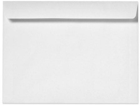 9.5 X 12.5 CATALOG ENV. PEEL OFF SELF-SEAL STRIP 5