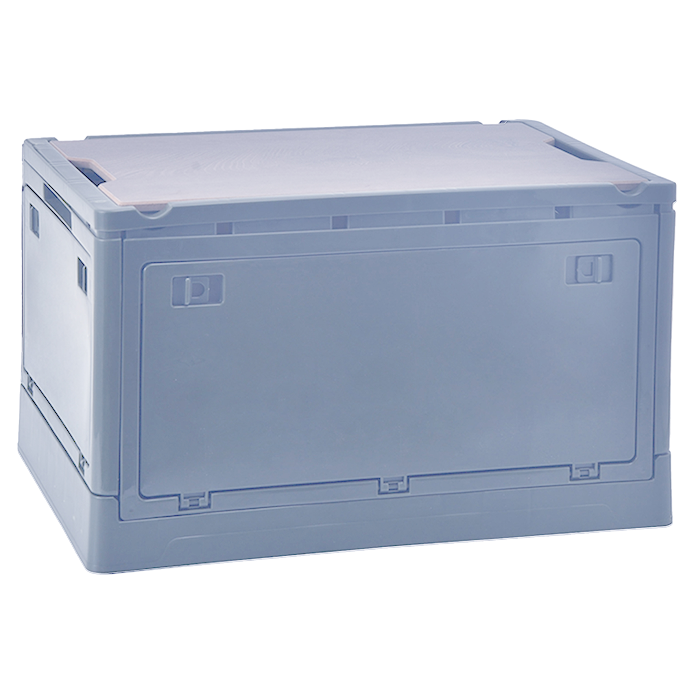 Plastic Trunk Storage Box 5