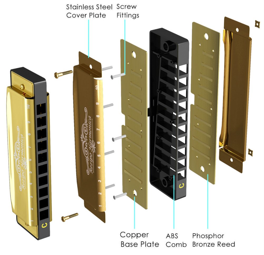 10 Holes C Key Blues Harmonica 3