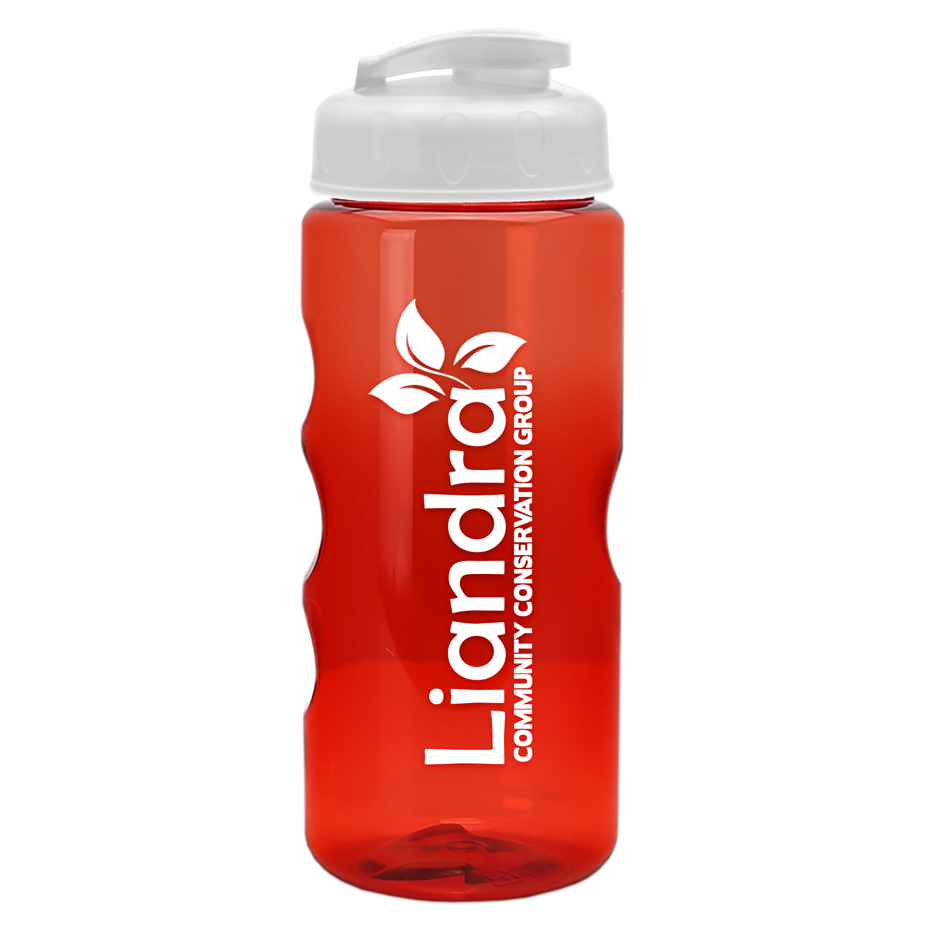 Garyline® Mini Mountain Tritan® Bottle with Flip-Top Lid - 22 oz. 203