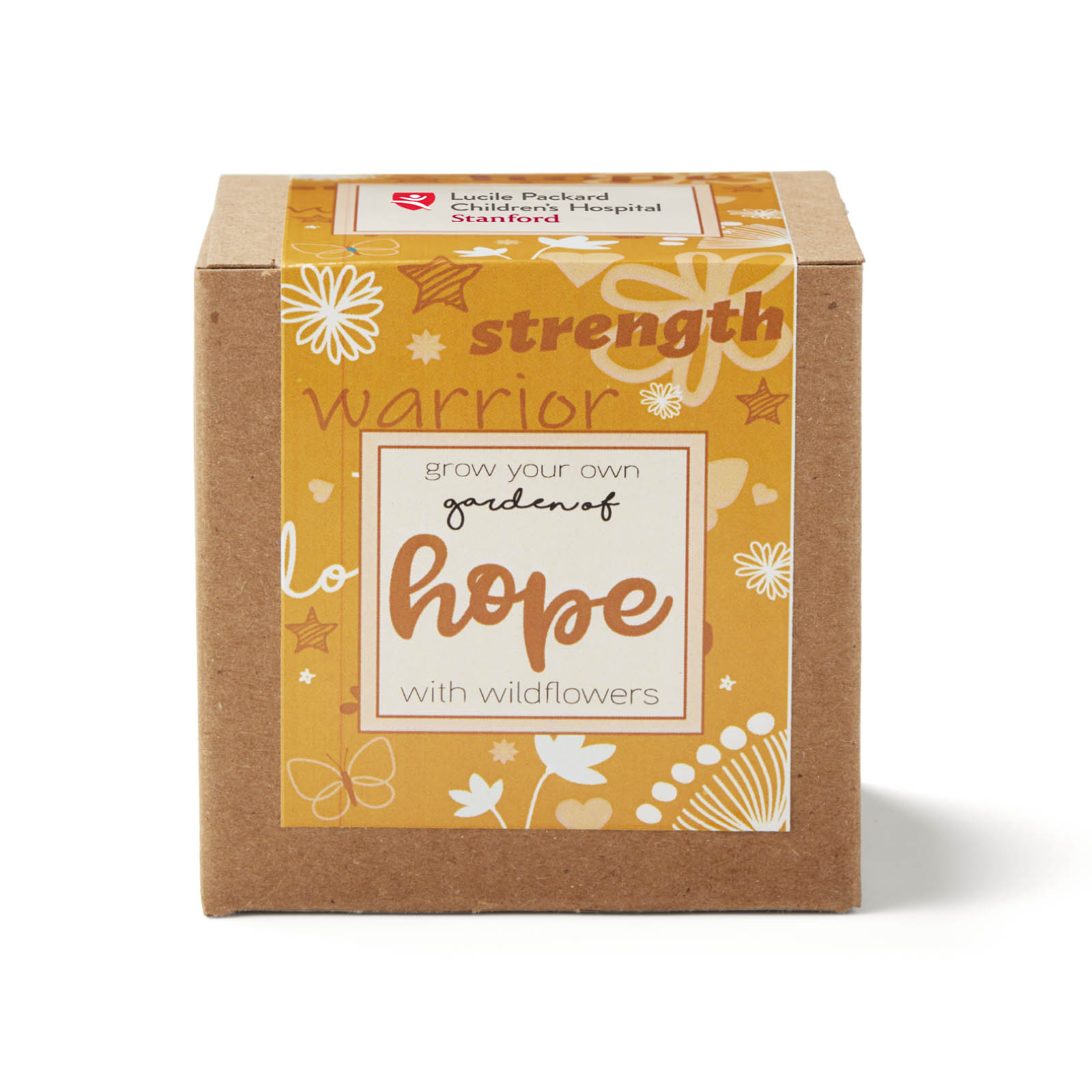 Orange Garden of Hope Planter in Kraft Gift Box 3