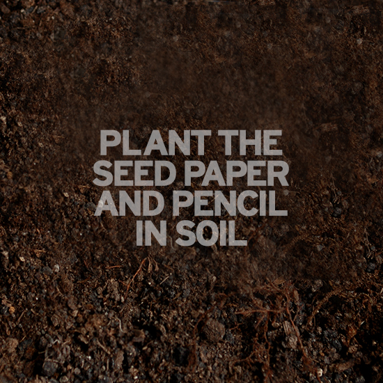 Sprout Pencil With Single-Sided Basil Seed Paper 2