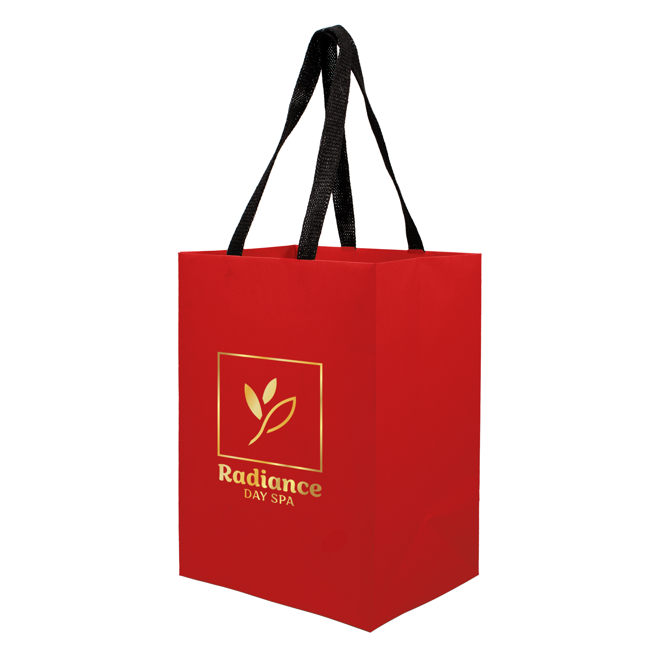 Sugarcane Paper Bag with Embedded Web Style Paper Handles - 11