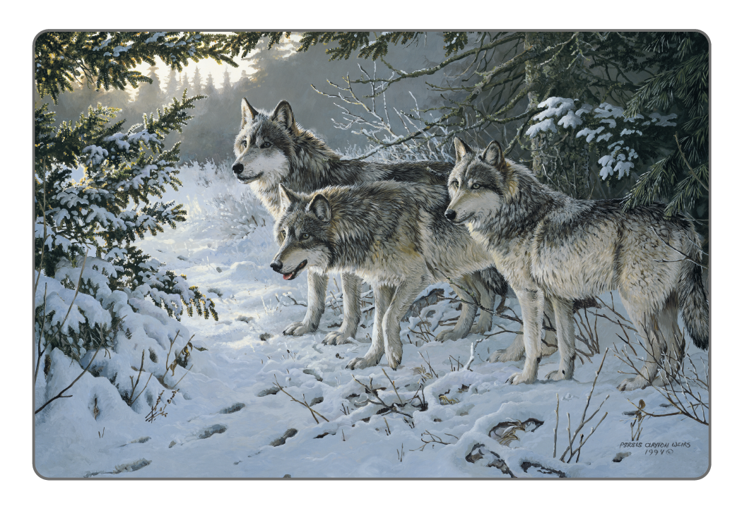 Triumph® Calendars Wildlife Art Pocket Calendar 30