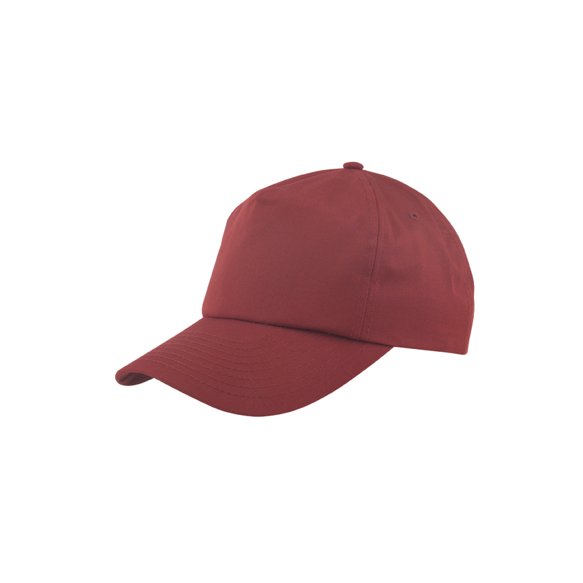 Solid Dad Hat 3