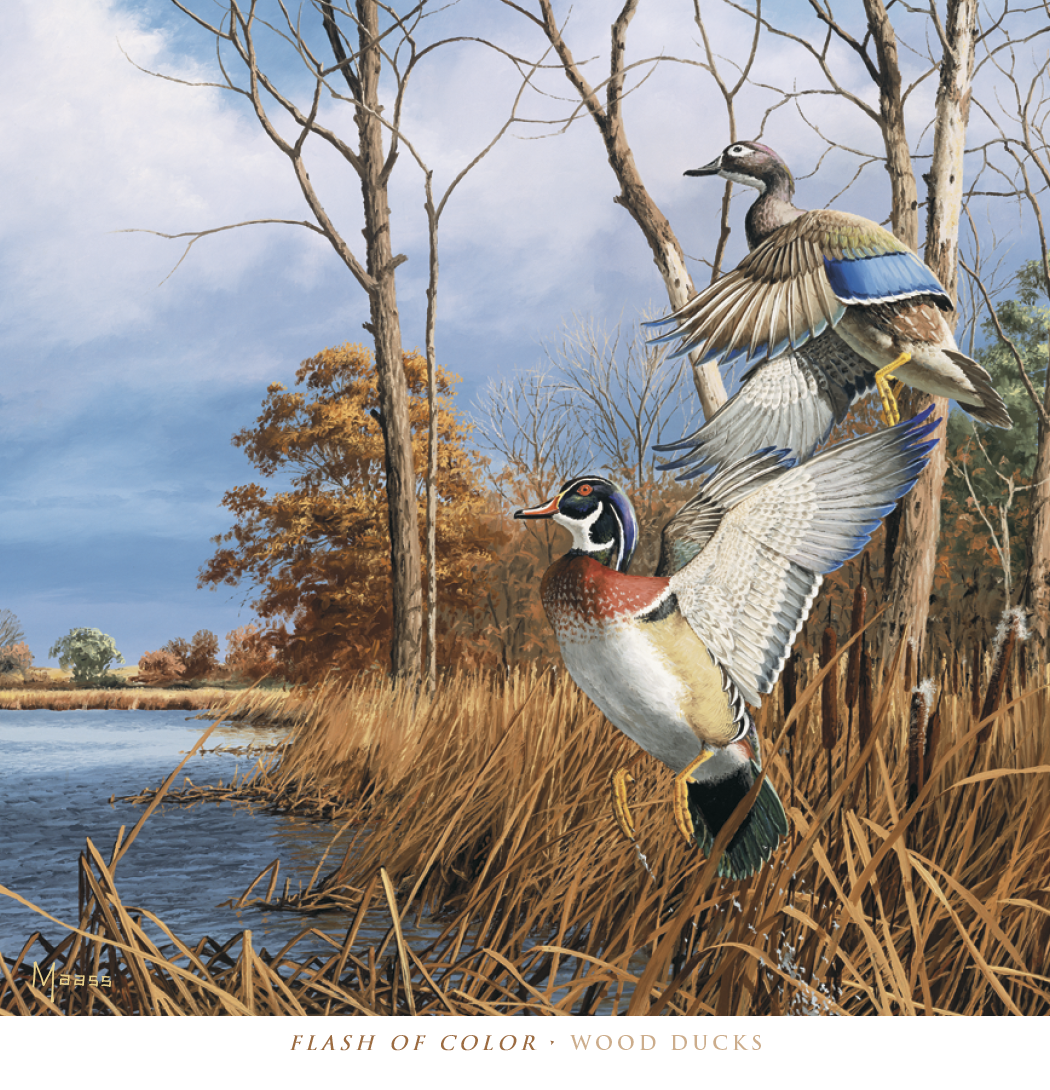 HotLine® Products David Maass Executive Calendar 29