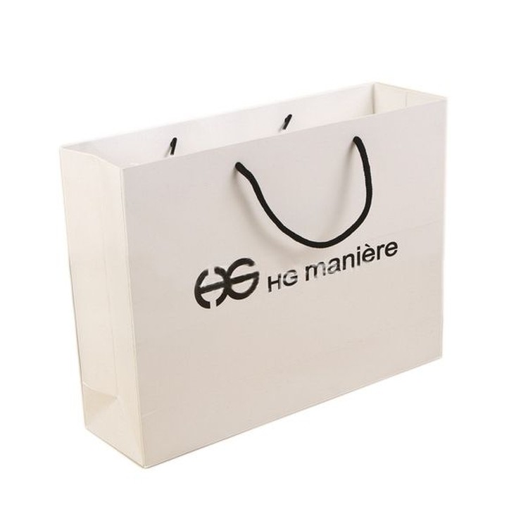250G White Cardboard Party/ Gift Paper Bag 2