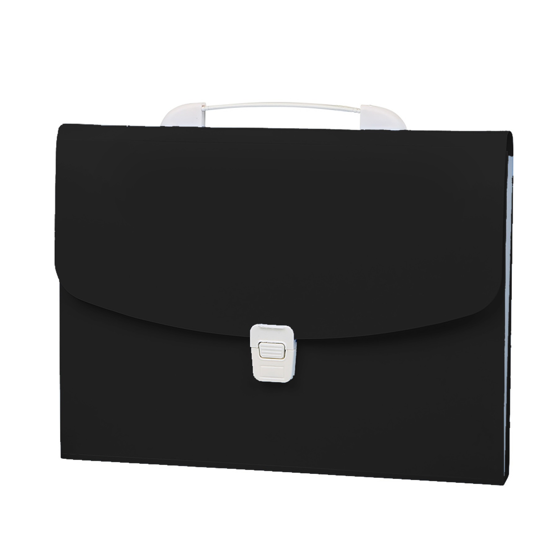 Expanding File Folder Organizer With Handle 11
