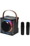 15W Karaoke Wireless Speaker with 2 Mics 20