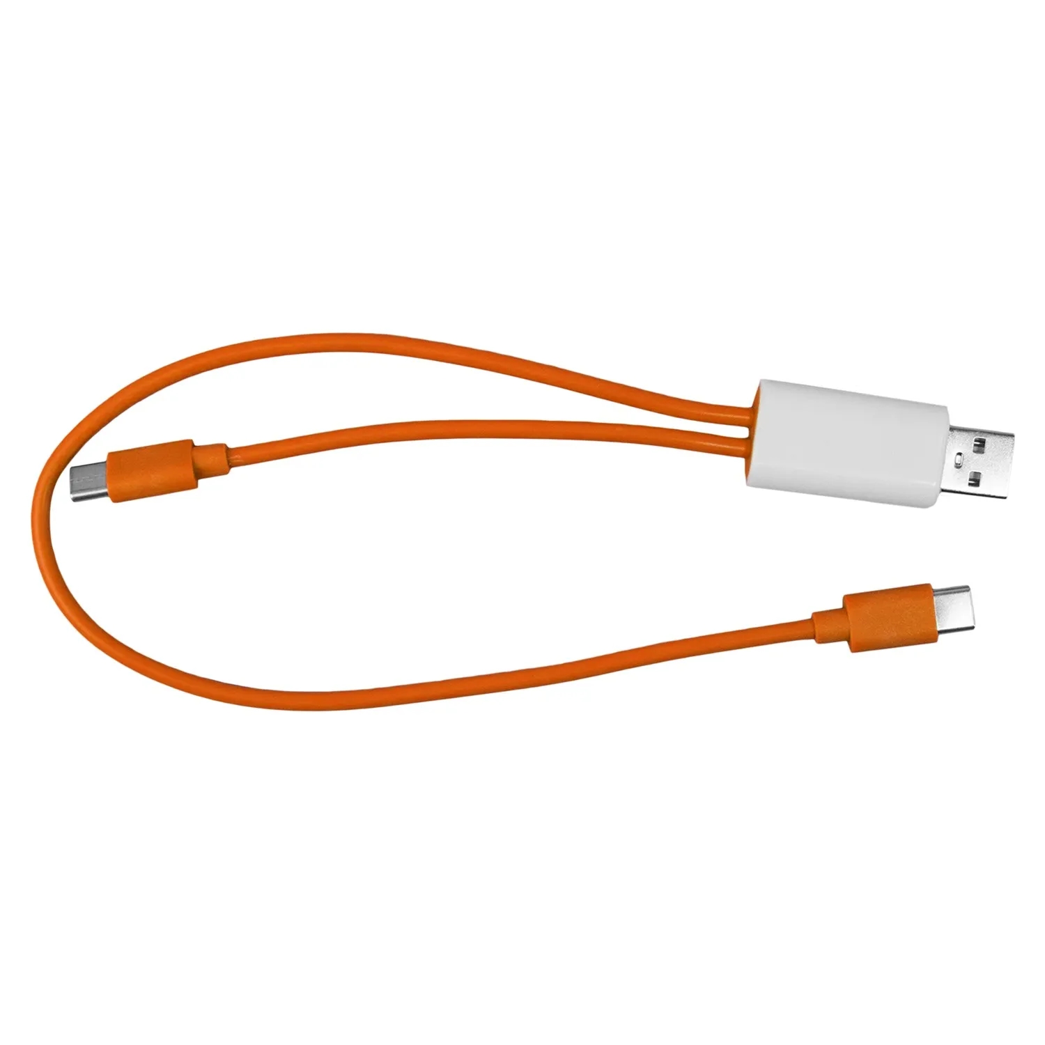 Dual Input A + C to C Accent Cable 12