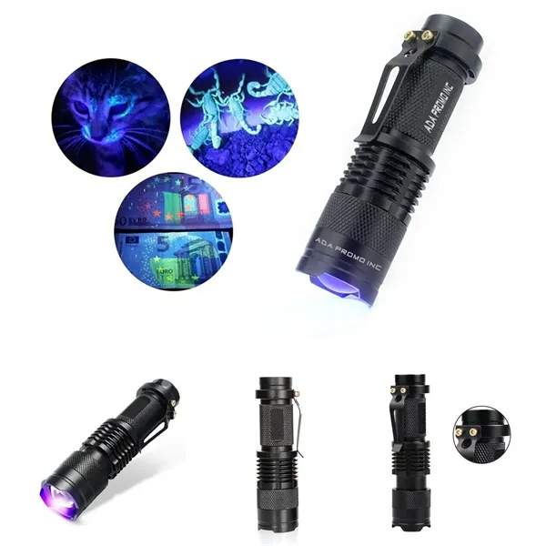 Portable UV Fluorescent Flashlight