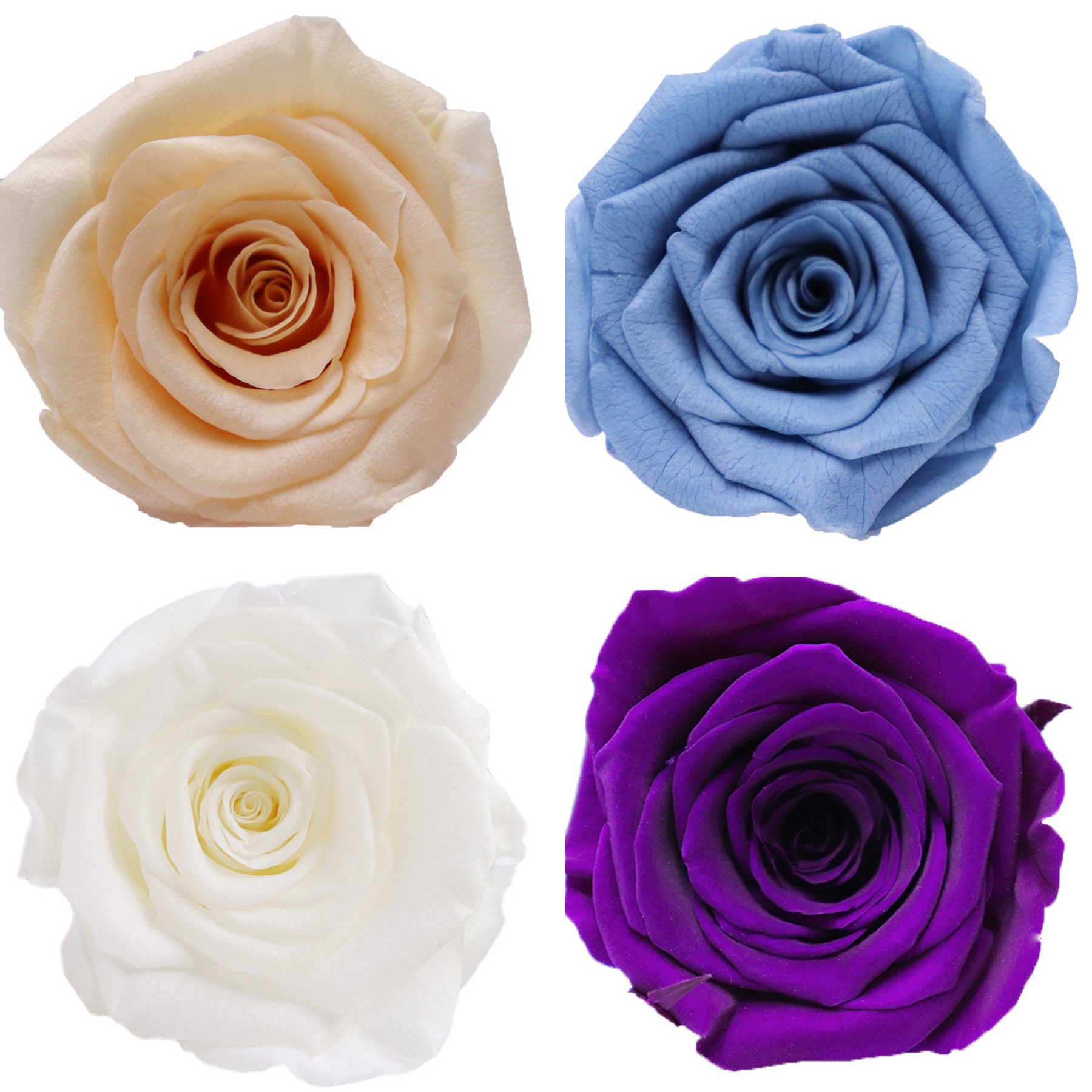 Acrylic Gift Eternal Rose Box 6