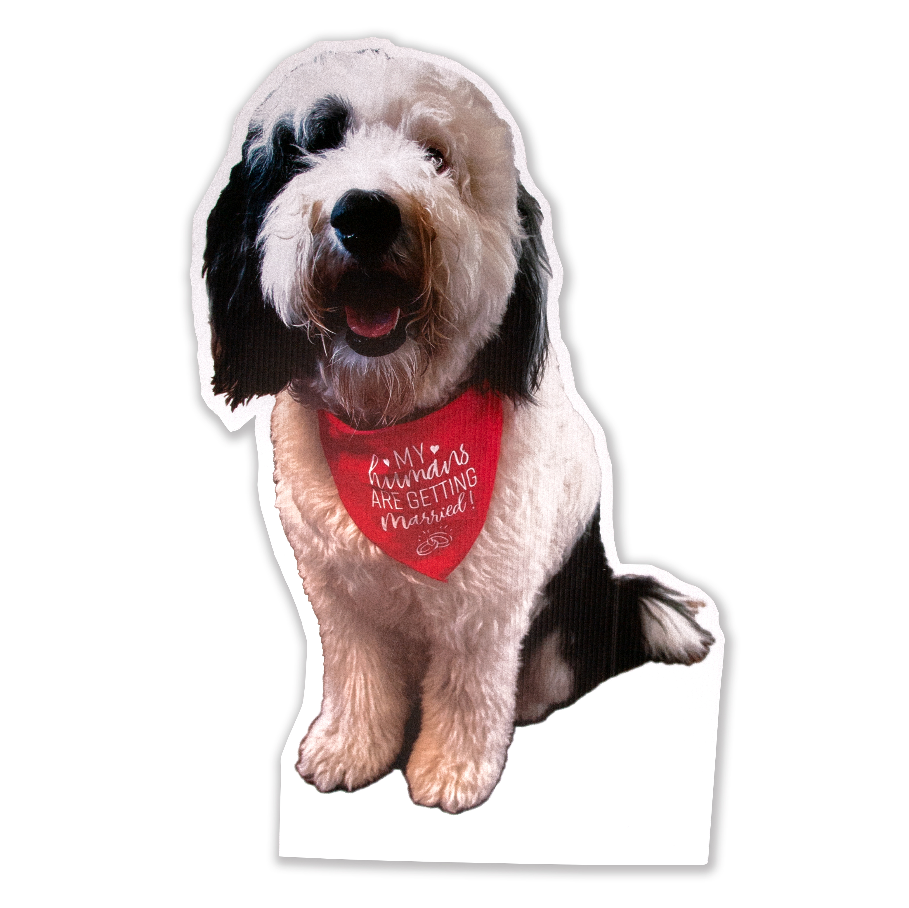 Custom Yard Signs, Up to 22"x 22" - Digital Full Color Imprint 2