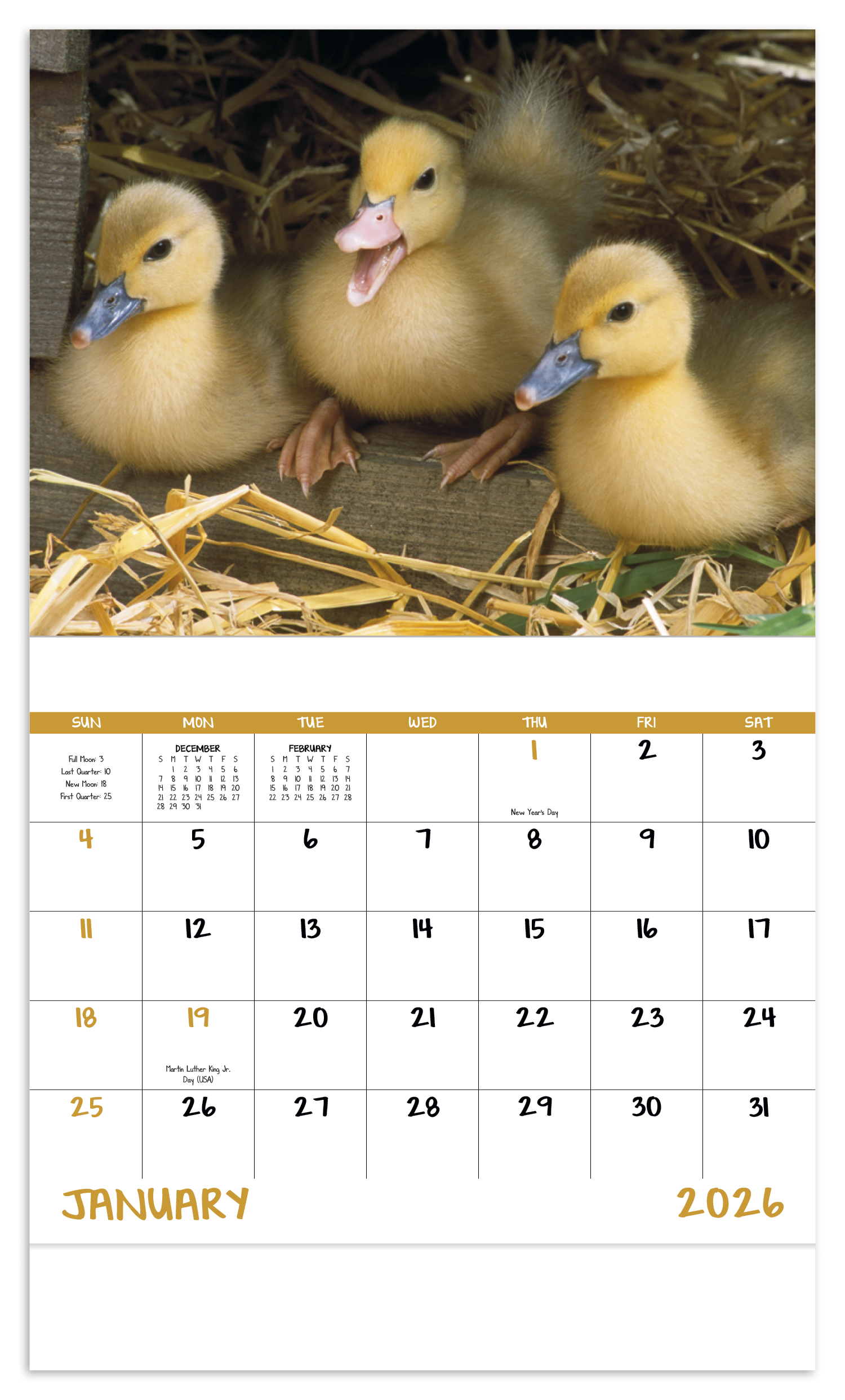 Good Value™ Baby Farm Animals - Stapled Calendar 10
