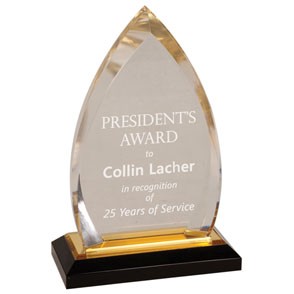 Impress Acrylic Oval Award 2