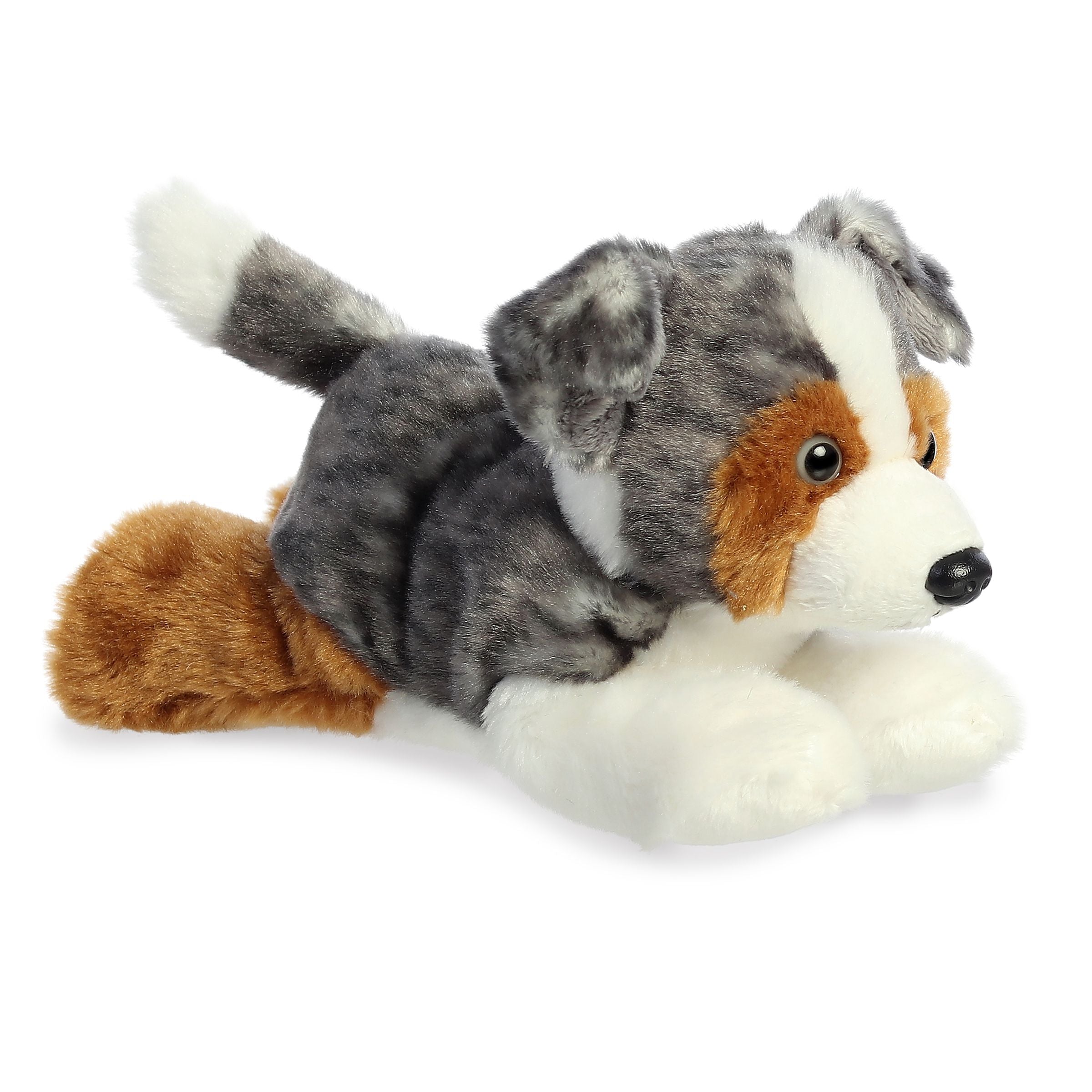 Lux Australian sheep Dog 2
