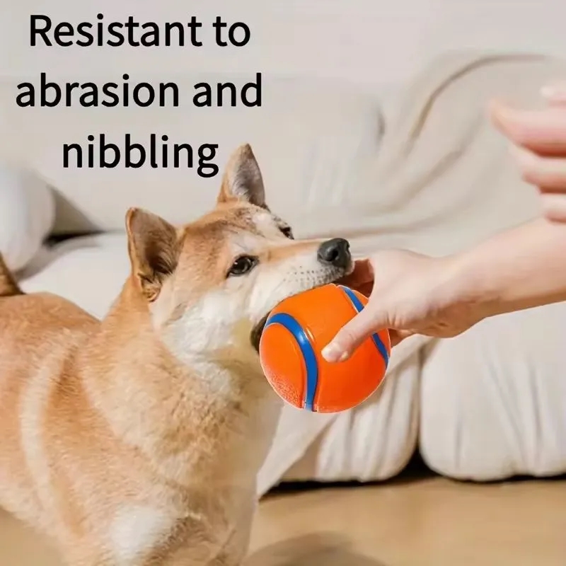 Ultra Ball Dog Toy 5