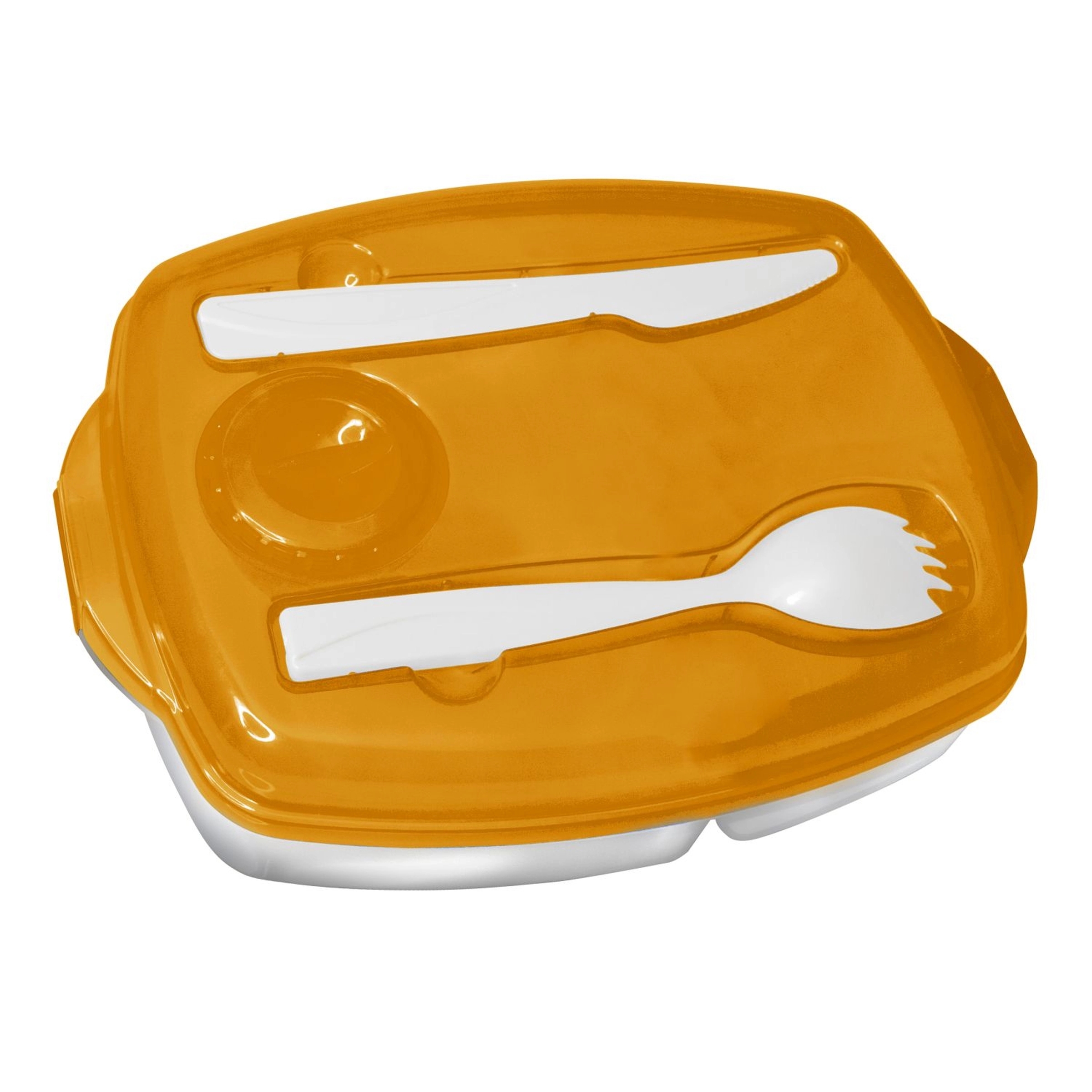 Locking-Lid Lunch Tray 9