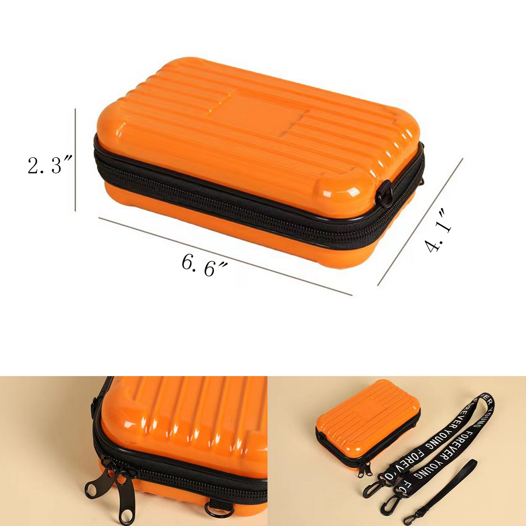 Hard Shell Cosmetics Case 2
