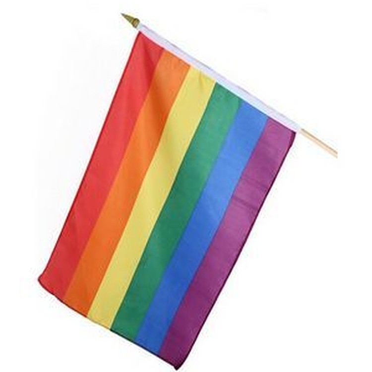 Economy Polyester Stick Flag (4"x6") 1