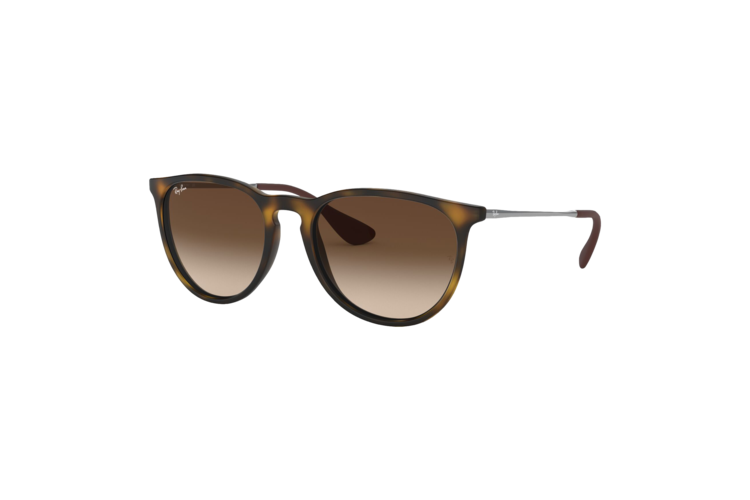 Ray-Ban Women's Erika Sunglasses 1