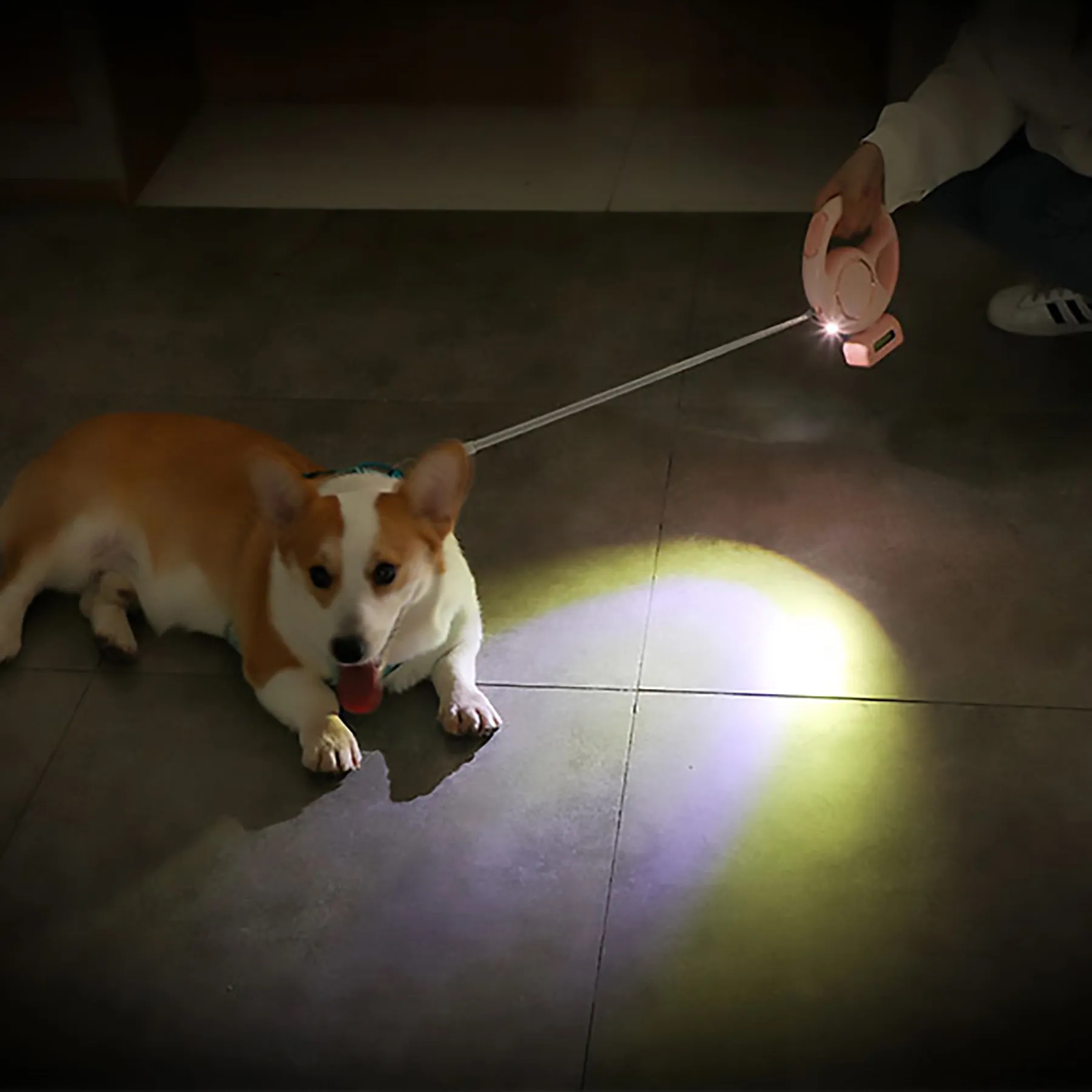 Abs Multifunctional Pet Leash 6
