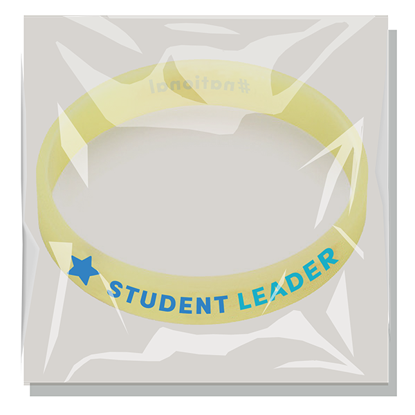 Individually Packaged Imprinted Silicone Wristband 2