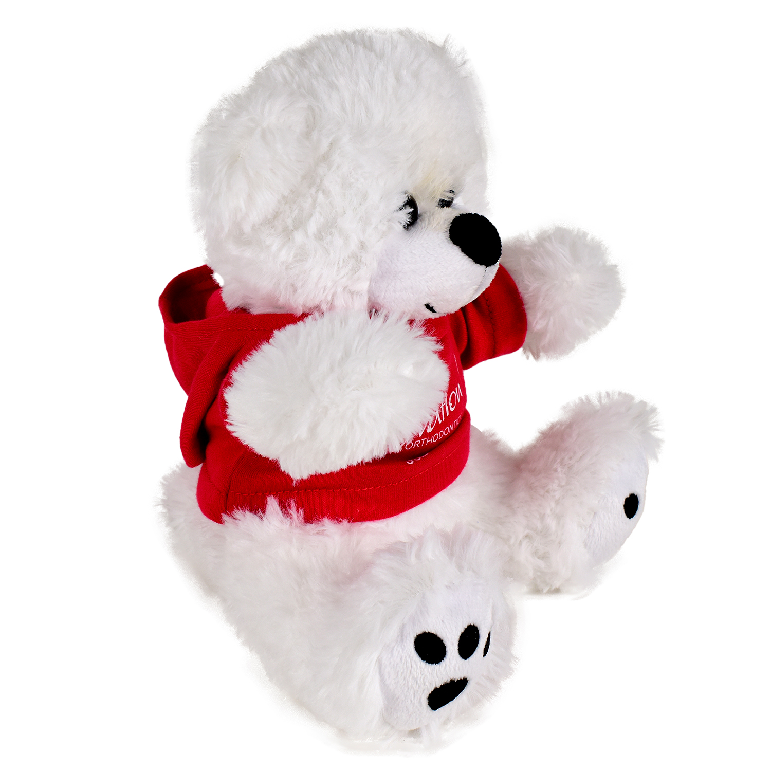 Plush Bear w/ Embroidered Paws and Hoodie 17