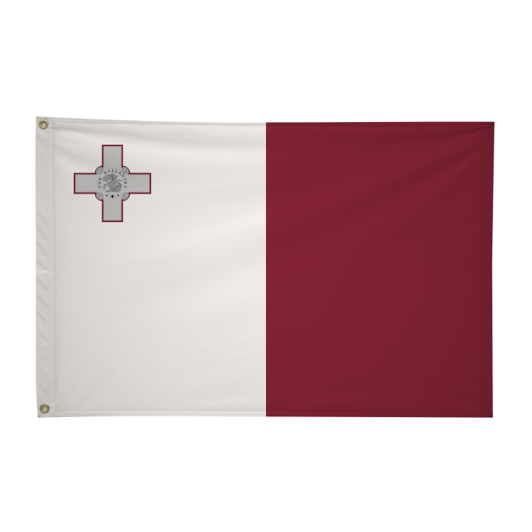 2' x 3'International Flag 50