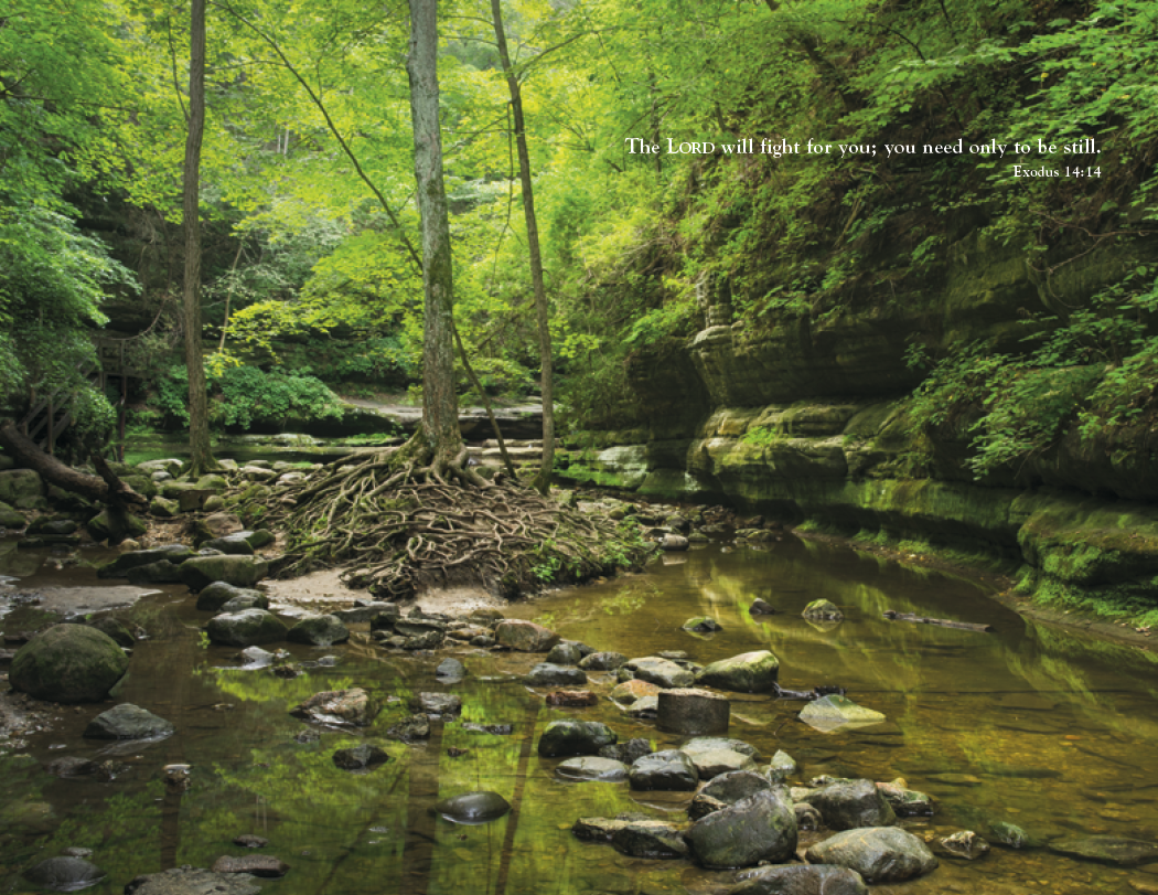 Triumph® Calendars World of Inspiration Calendar 60