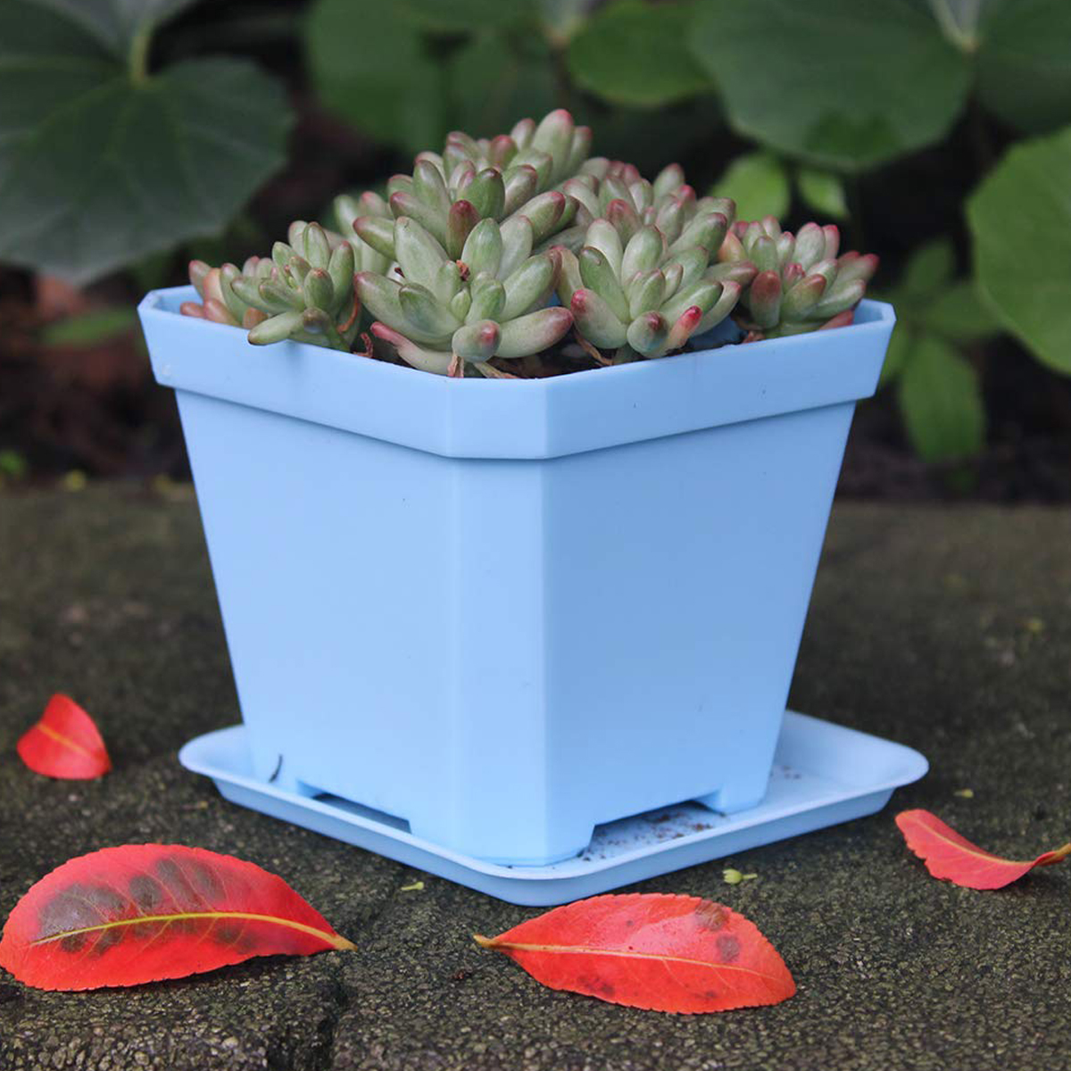 Mini Plastic Plant Pot 4