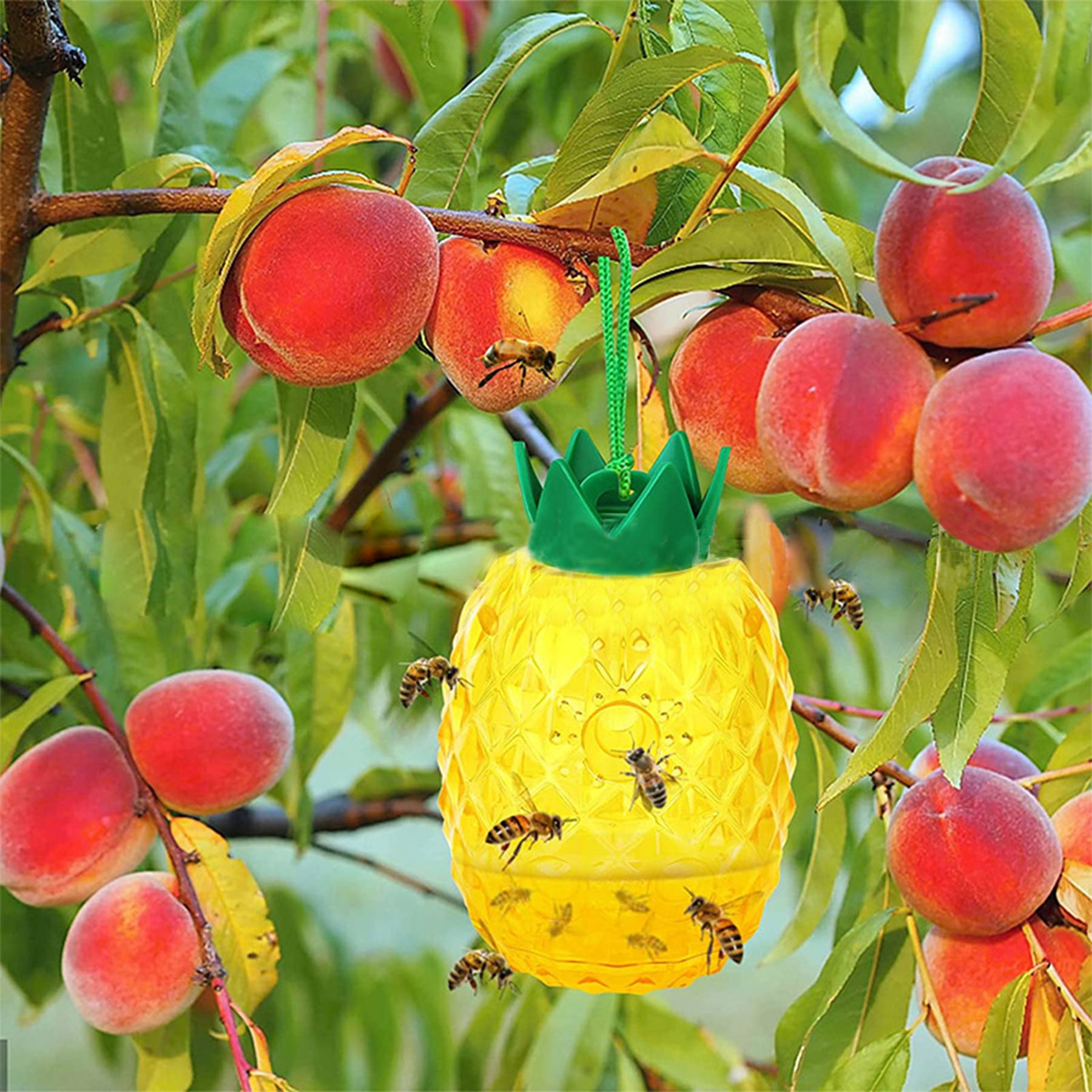 2 PCS Pineapple Shaped Bee Trap 4