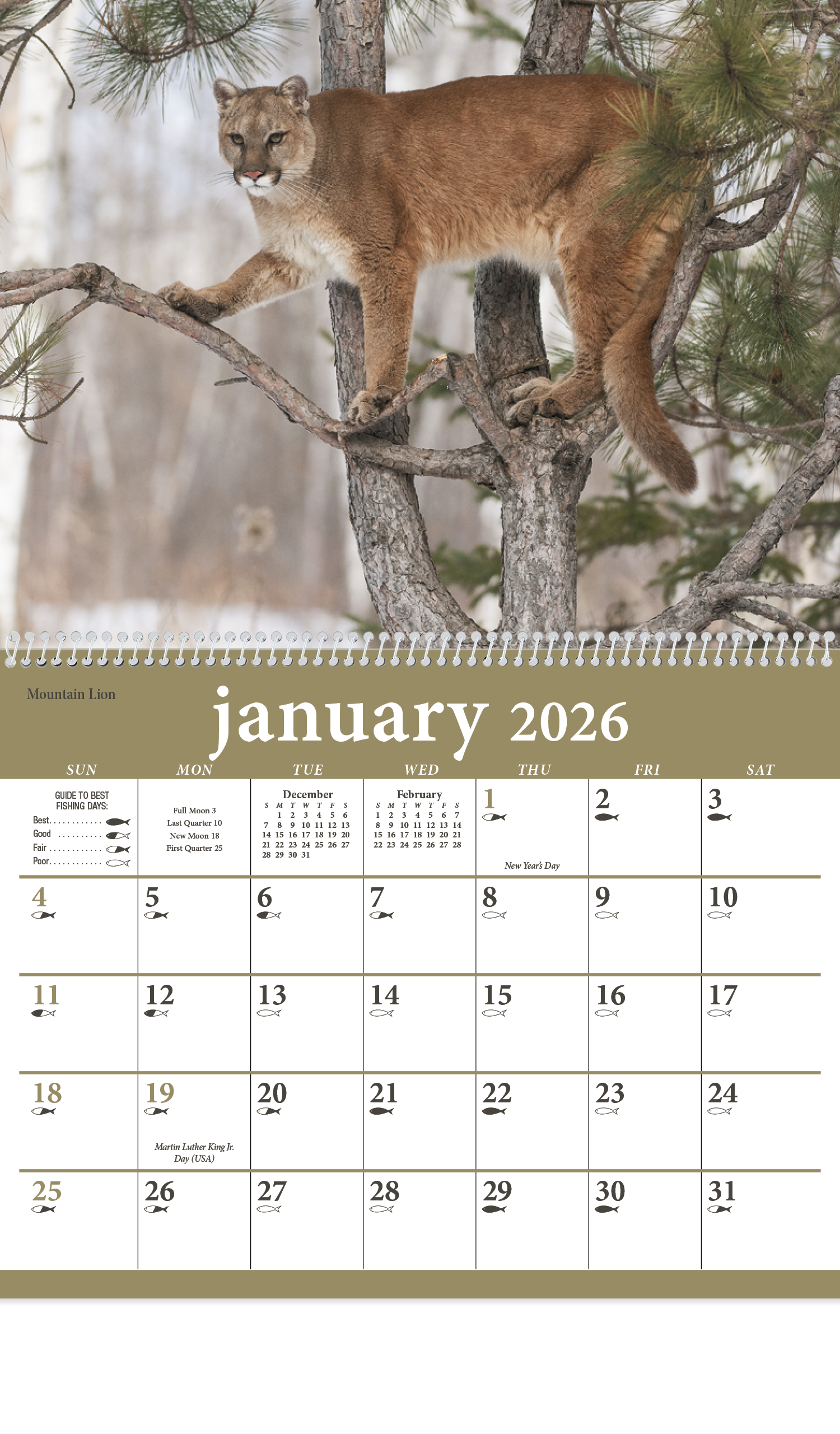 Triumph® Calendars North American Wildlife Calendar 8