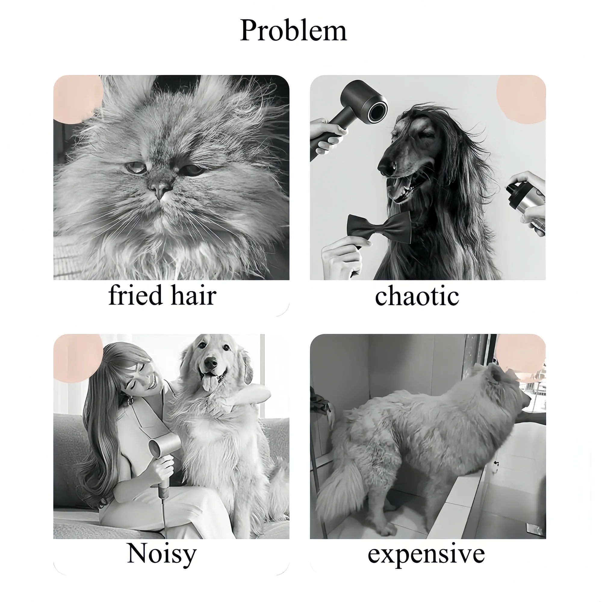 Multi Function Pet Hair Dryer Grooming Tool 7