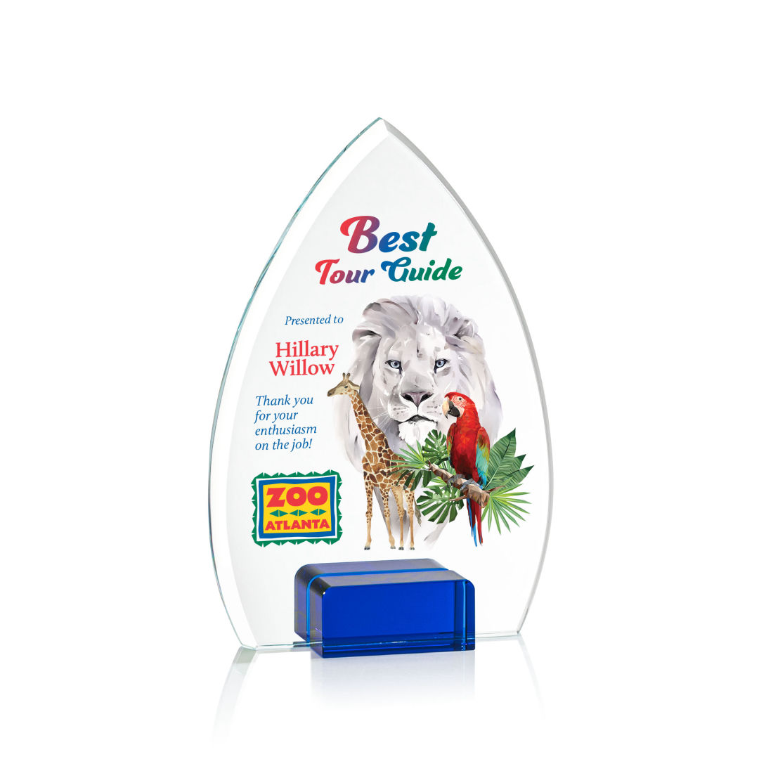 Aylin VividPrint™ Award - Blue 8