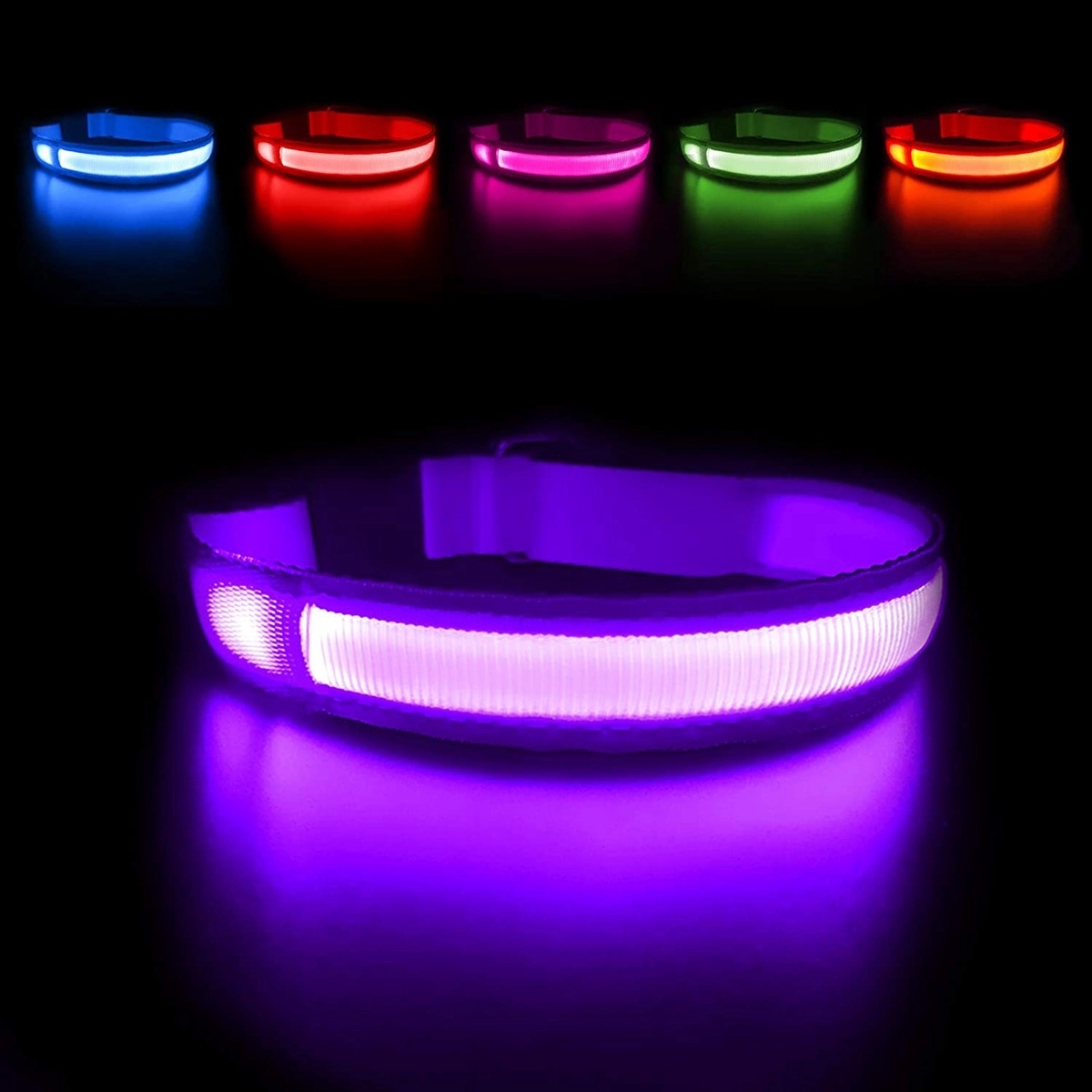 LED Dog Collar 3