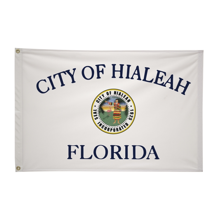 2' x 3' City Flags 81