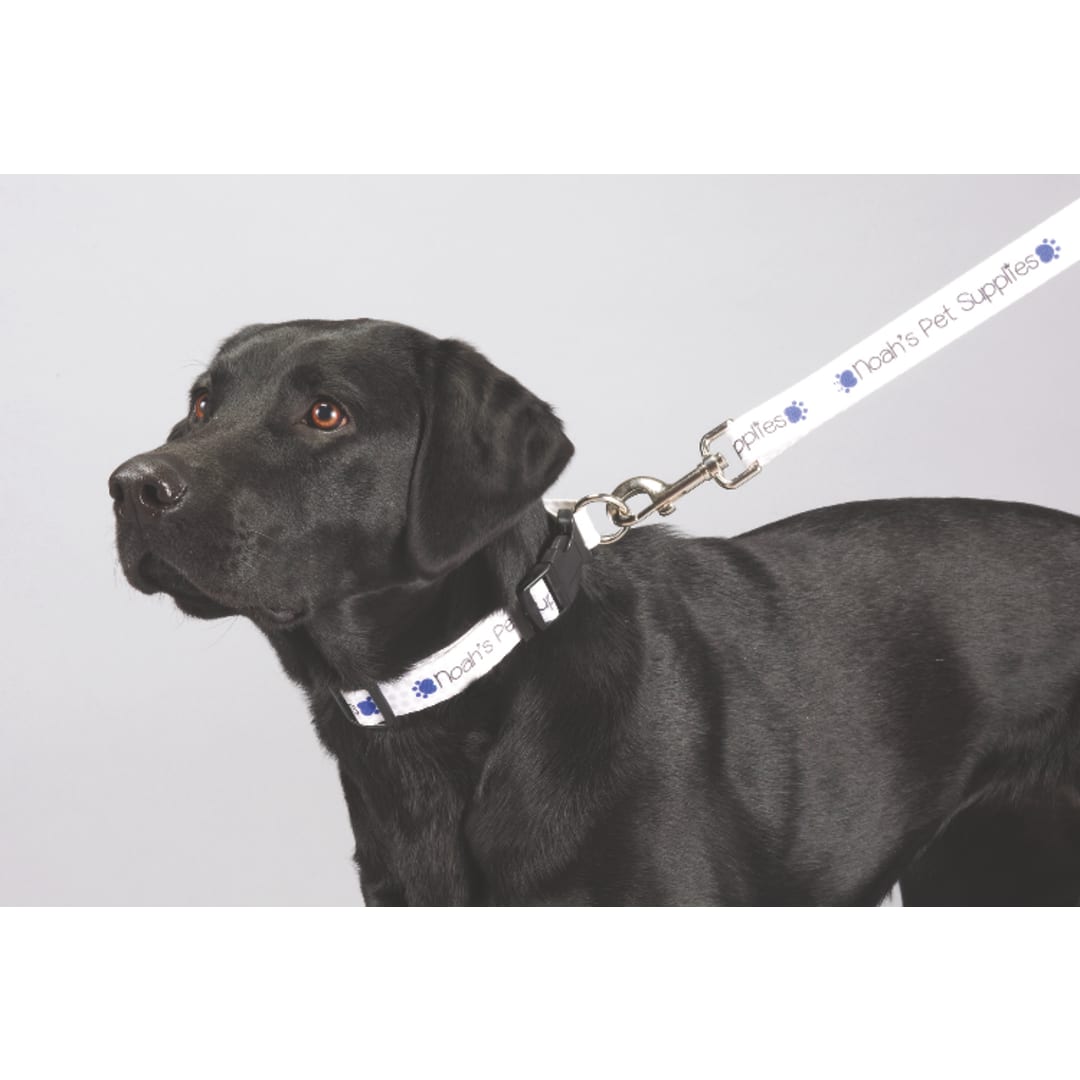 Full Color 1" Wide Premium Pet Leash 28
