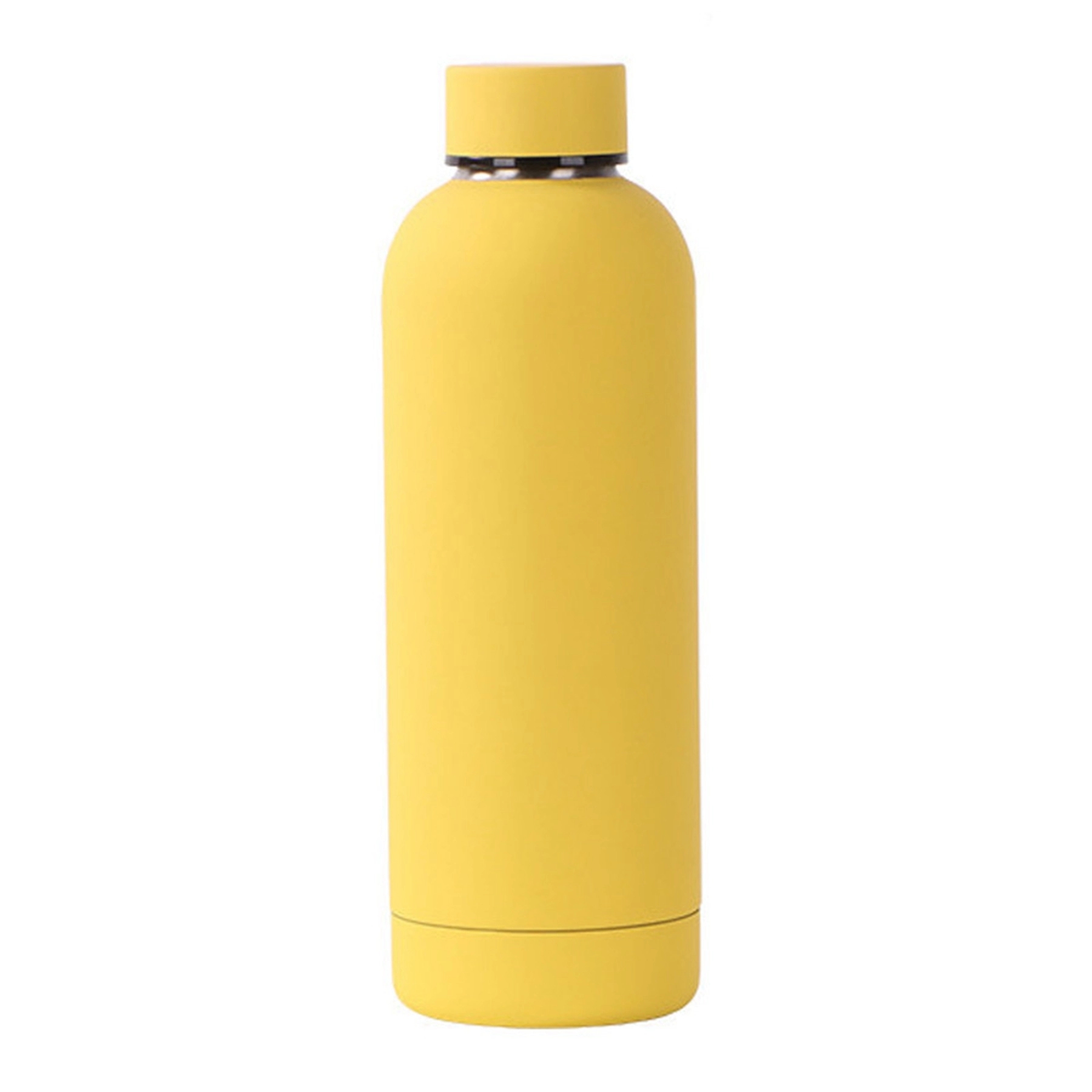 17 OZ Vacuum Insulated Stainless Steel Water Bottle 23