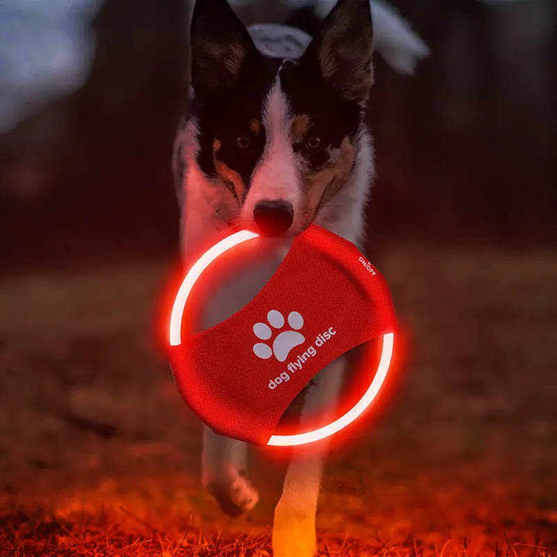 Glowing Dog Flying Disc 2