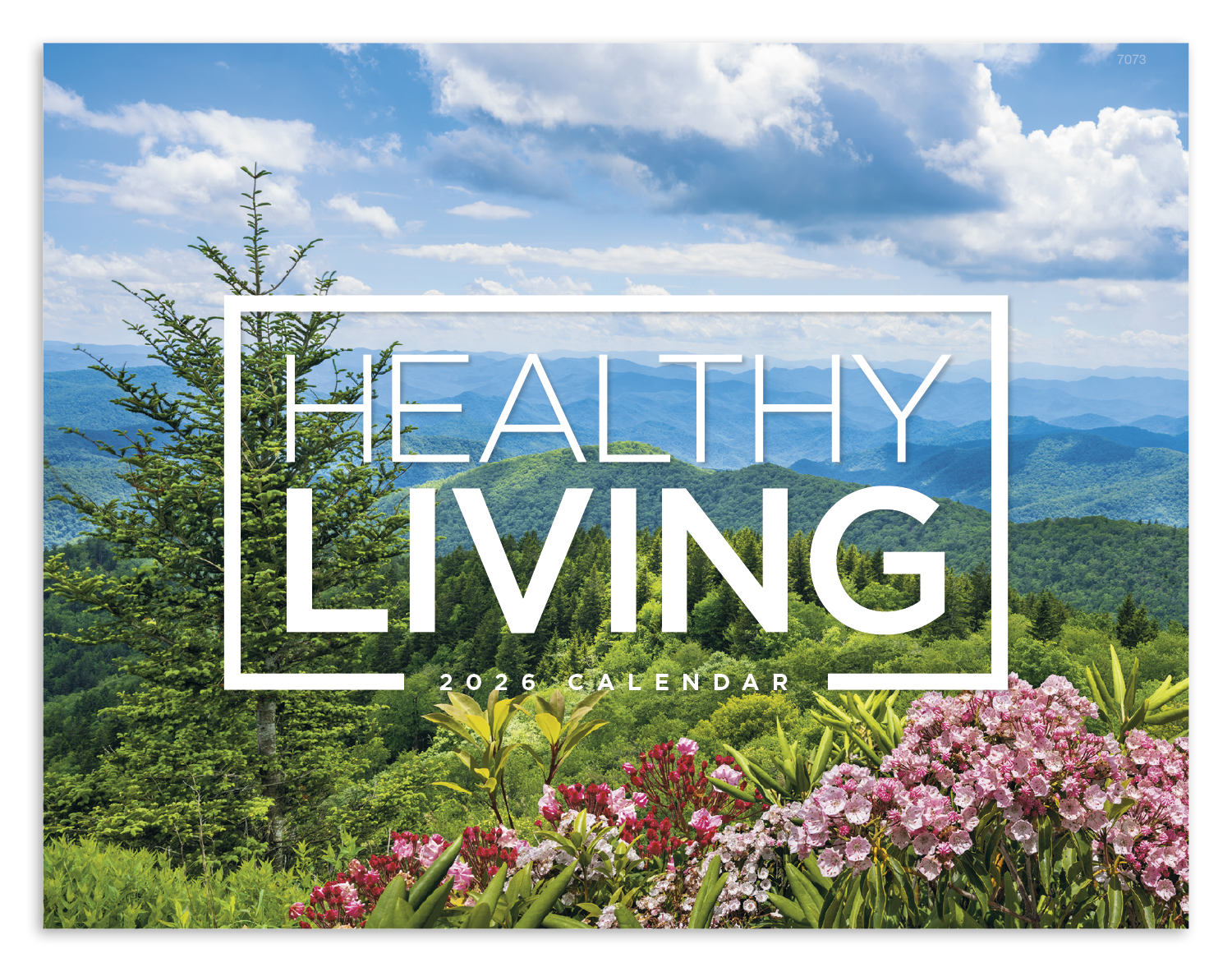 Good Value™ Healthy Living - Window Calendar 14