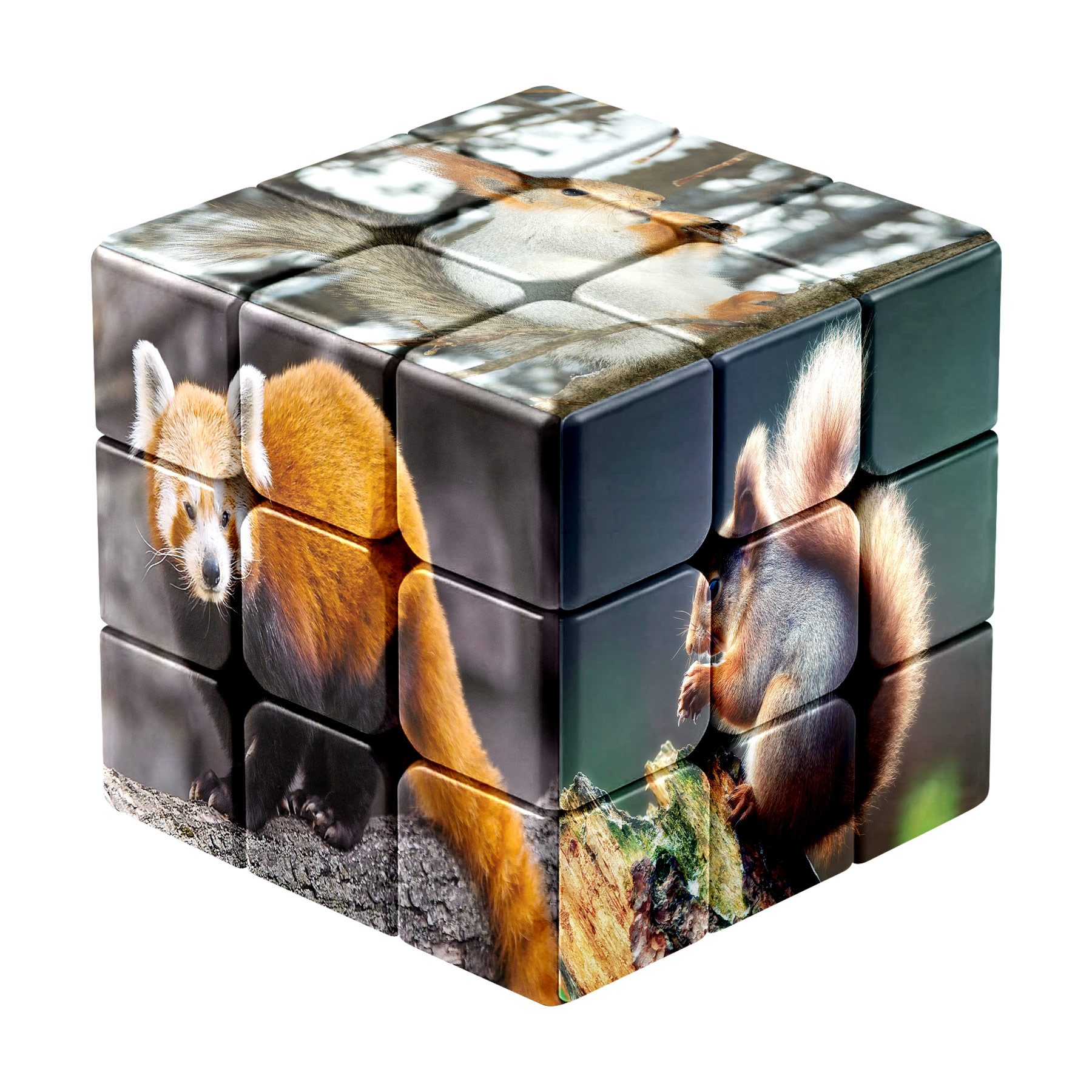 Customized Printing Fun Cube 9