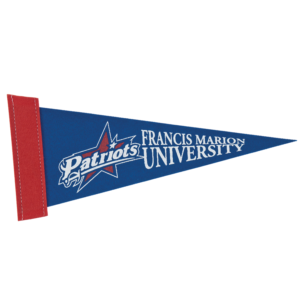 4" x 10" Colored Felt Pennant 17