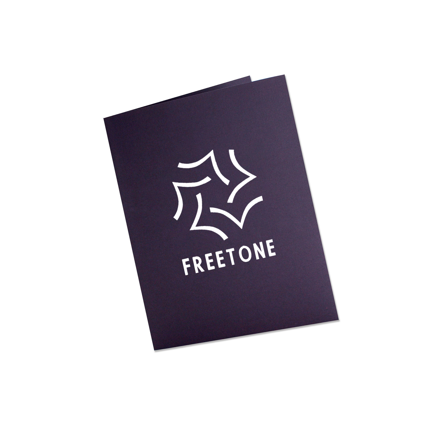 Foil Stamped Presentation Folder with 2 Pockets 2