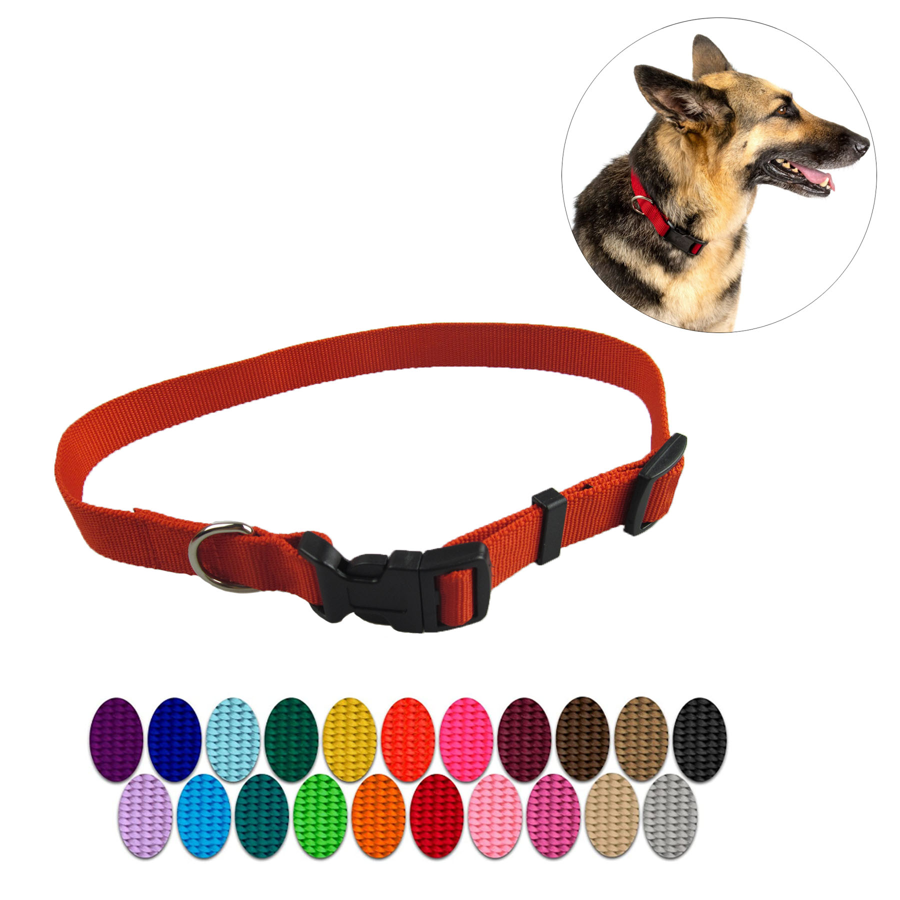 3/4'' Nylon Dog Collar w/ Buckle and Clip 1