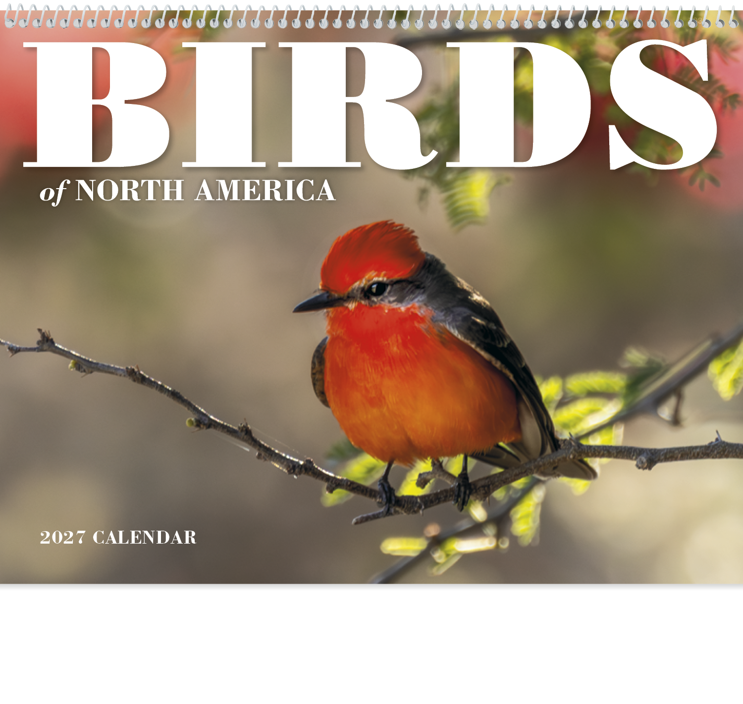 Good Value™ Birds of North America - Spiral Calendar 32
