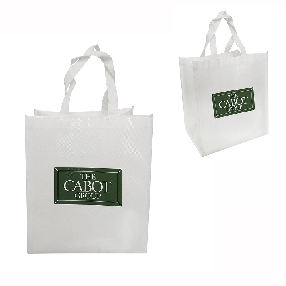 Non-Woven Laminated Bag 2