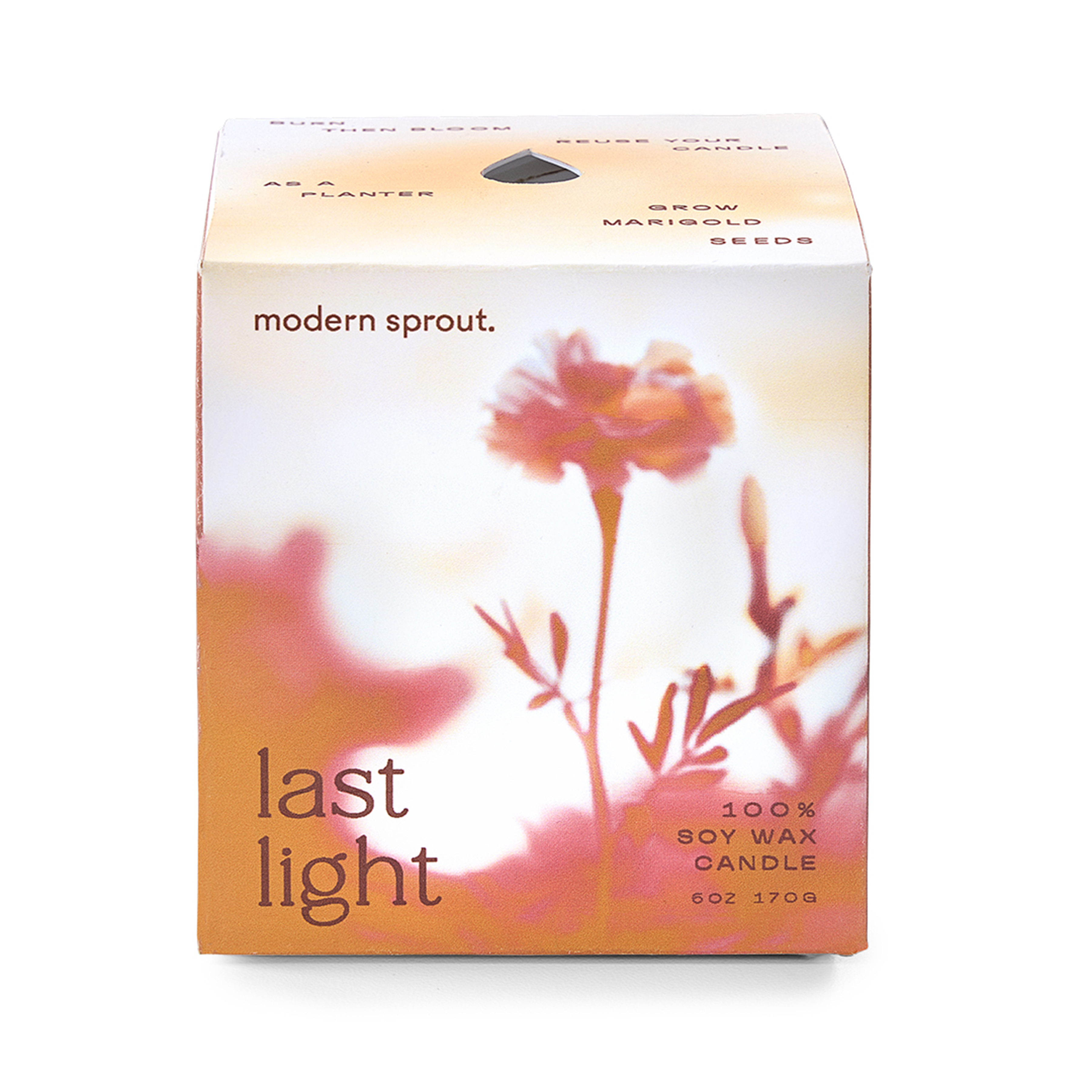 Modern Sprout® Garden Vibes Candle/Planter 71