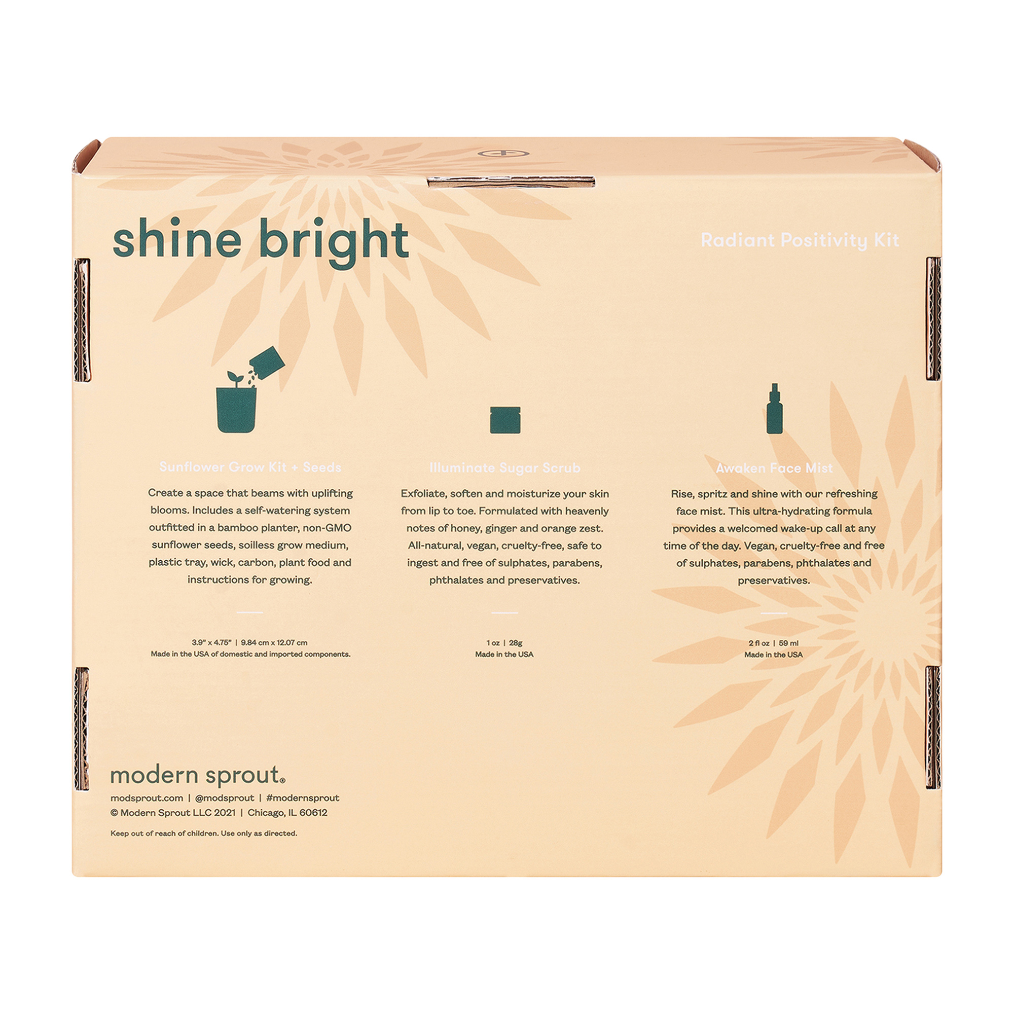 Modern Sprout® Shine Bright Take Care Kit - Sunflower 13