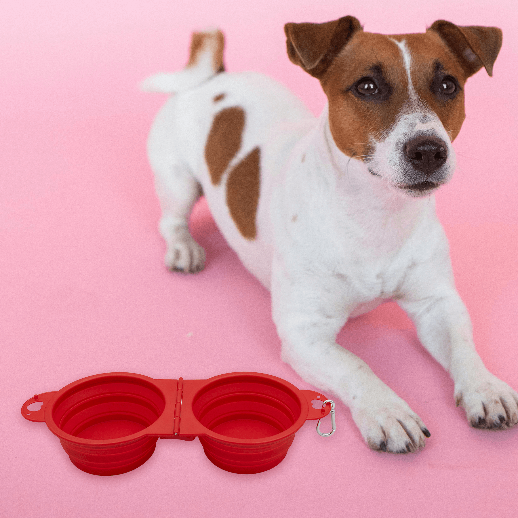 Top Tail Double Collapsible Pet Bowl 14
